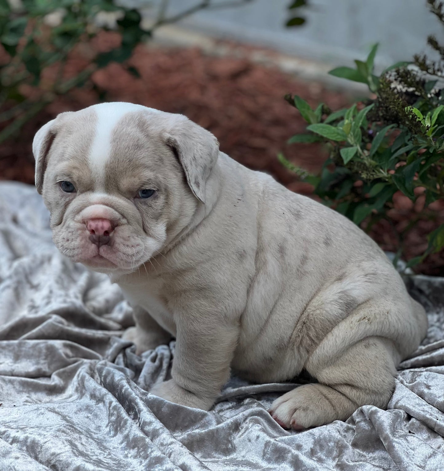 COOPER